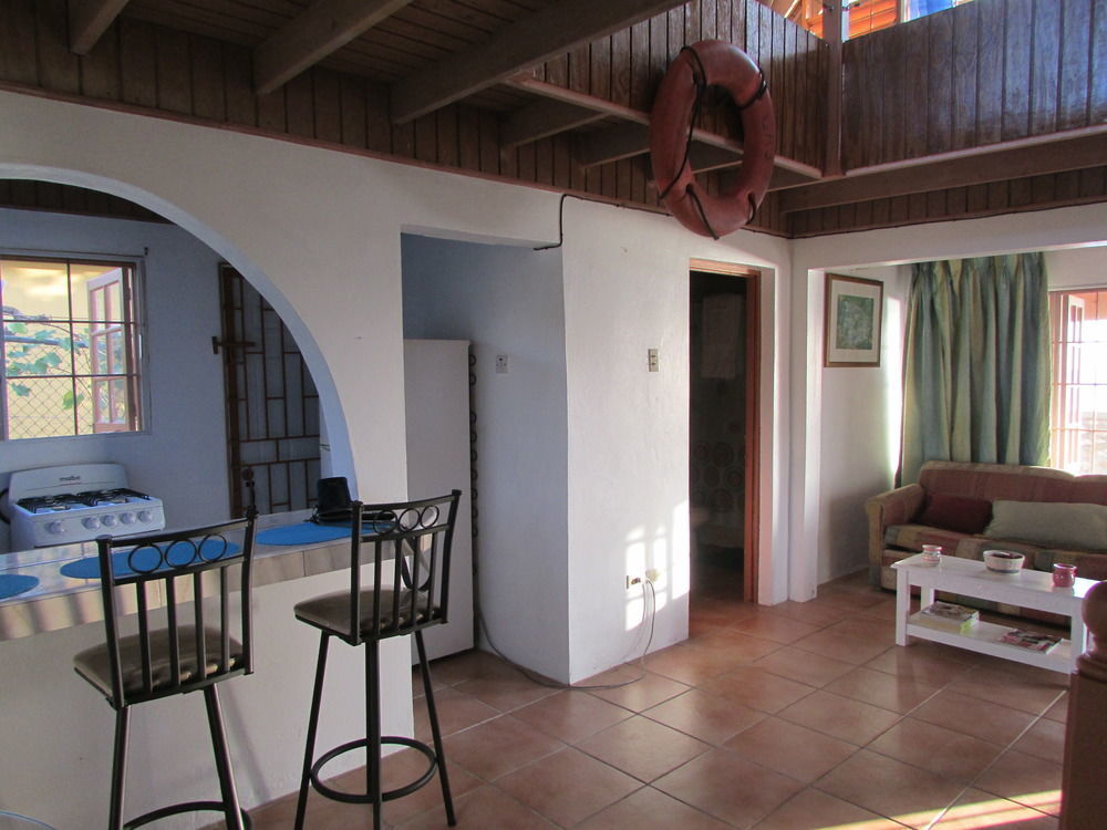 Ocho Rios Villa At Coolshade IV Saint Annʼs Bay Extérieur photo