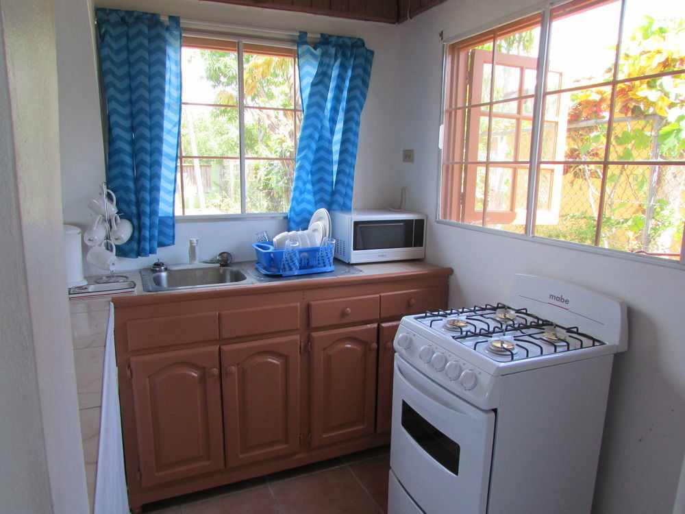 Ocho Rios Villa At Coolshade IV Saint Annʼs Bay Extérieur photo